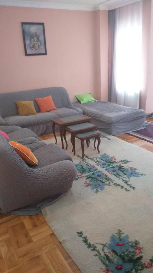 Apartment Gajic